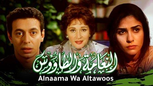 The Ostrich and the Peacock filmas žiurėti online