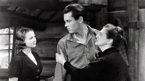 The Trail of the Lonesome Pine filmas žiurėti online