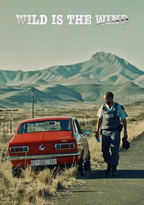 Wild Is the Wind filmas online