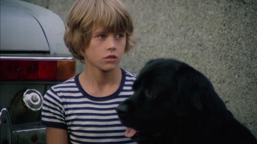 Hang on, Doggy filmas žiurėti online