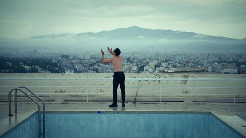 Birds (Or How to Be One) filmas žiurėti online