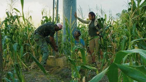 The Island filmas žiurėti online