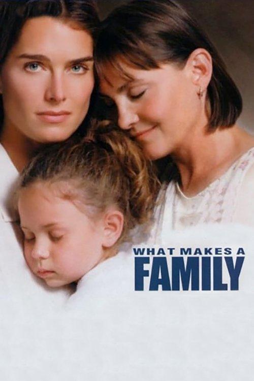 What Makes a Family filmas online