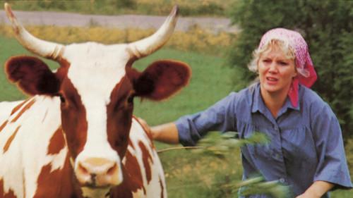 Akallinen mies filmas žiurėti online