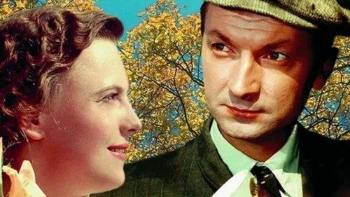 She Loves You filmas žiurėti online