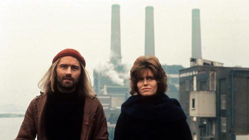 Made filmas žiurėti online