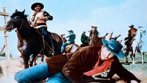 Pochi dollari per Django filmas žiurėti online