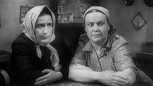 Master of His Own Body filmas žiurėti online