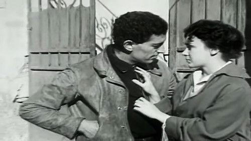 The Daywork of Happiness filmas žiurėti online