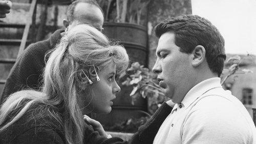 Elio Petri... appunti su un autore filmas žiurėti online