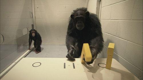 Surviving Progress filmas žiurėti online