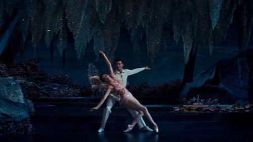 Meet Me in Las Vegas filmas žiurėti online