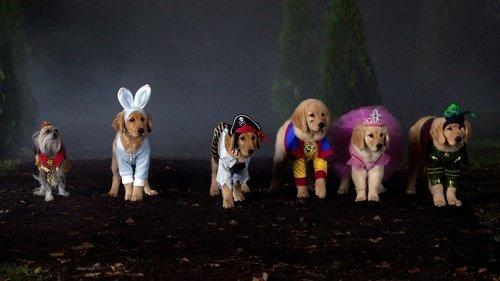 Spooky Buddies filmas žiurėti online