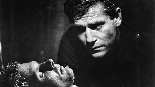 King Rat filmas žiurėti online