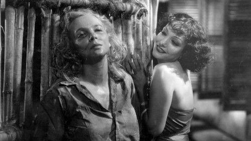 Kongo filmas žiurėti online