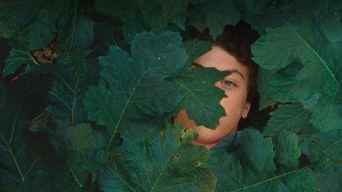 A Metamorfose dos Pássaros filmas žiurėti online