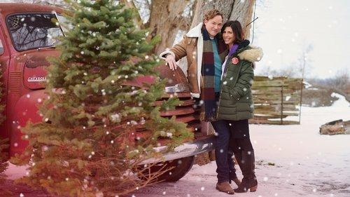 A Christmas Break filmas žiurėti online