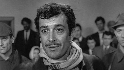 Şaka ile Karışık filmas žiurėti online