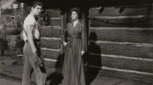 Woman Obsessed filmas žiurėti online