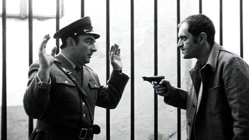 The Walled In filmas žiurėti online