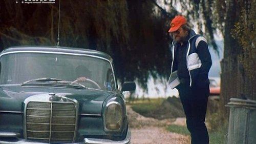 Do not Panic, Major Kardos filmas žiurėti online