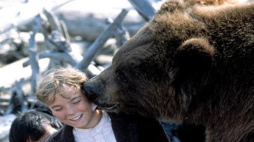 Grizzly Falls filmas žiurėti online