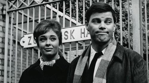 Duellen filmas žiurėti online