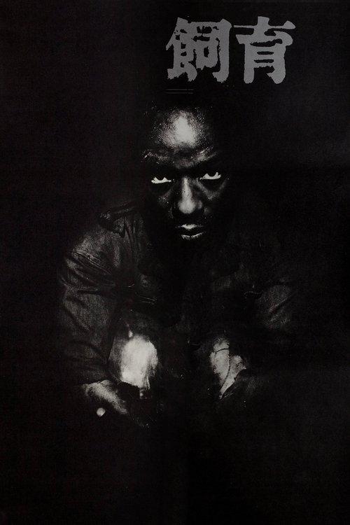 The Catch filmas online