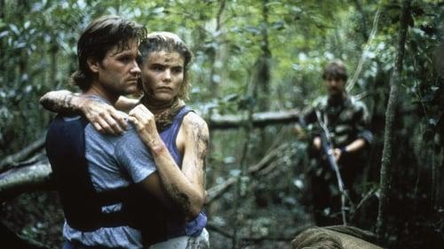 The Mean Season filmas žiurėti online