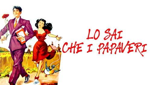 Poppy filmas žiurėti online