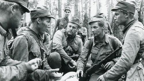 Tuntematon sotilas filmas žiurėti online