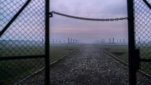 Auschwitz: Countdown to Liberation filmas žiurėti online