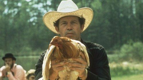 Cockfighter filmas žiurėti online