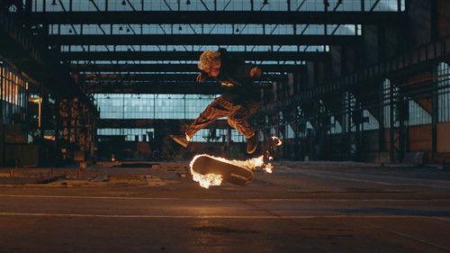 Wrooklyn Zoo filmas žiurėti online