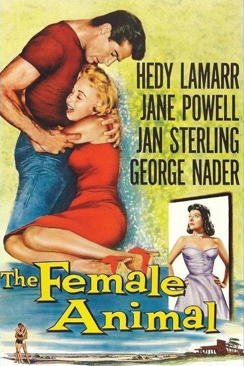 The Female Animal filmas online