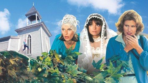 The North Avenue Irregulars filmas žiurėti online