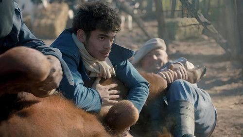 Matadero filmas žiurėti online