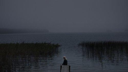 Shelley filmas žiurėti online