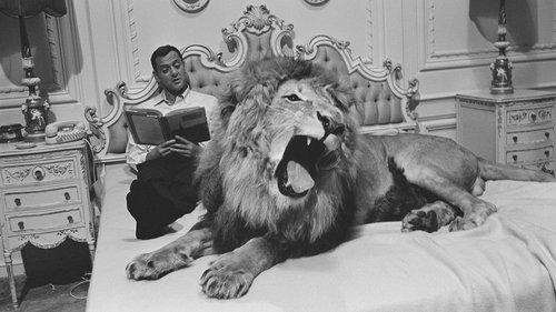 Fluffy filmas žiurėti online