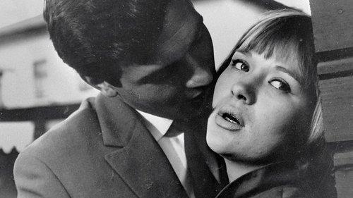 The Journalist filmas žiurėti online