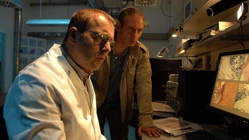 Die Toten vom Schwarzwald filmas žiurėti online