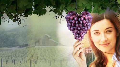 Love on the Vines filmas žiurėti online