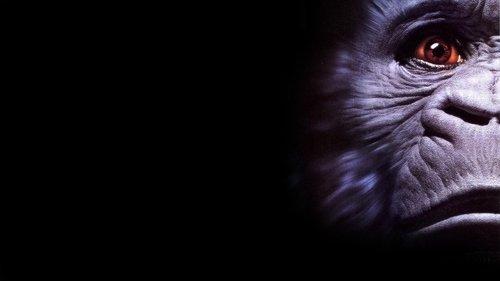 Kongas filmas žiurėti online