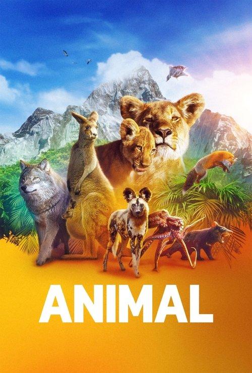 Animal filmas online