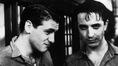 Swoon filmas žiurėti online