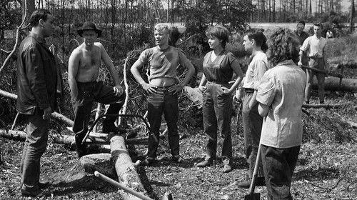 Chronicle of a Summer filmas žiurėti online