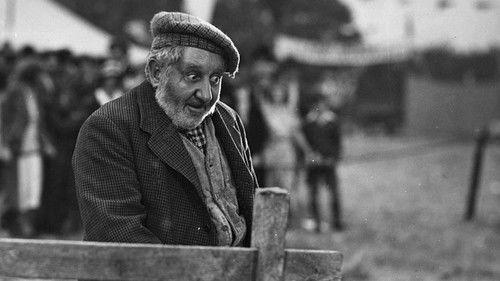 Owd Bob filmas žiurėti online