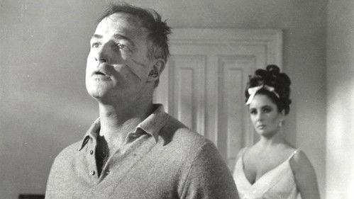 Reflections in a Golden Eye filmas žiurėti online