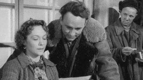 Other People's Relatives filmas žiurėti online