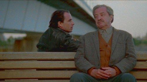 Un zoo la nuit filmas žiurėti online